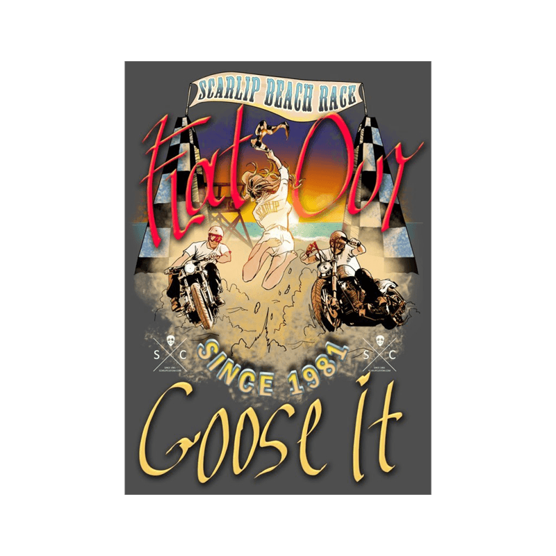 CAMISETA FLAT OUT GOOSE IT